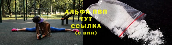 гашик Няндома